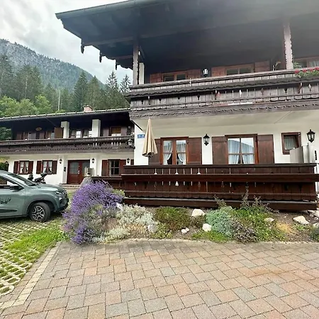Platzhirsch Mit Bergblick *